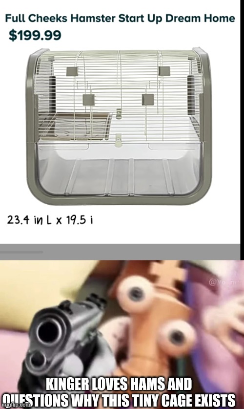 KINGER LOVES HAMS AND QUESTIONS WHY THIS TINY CAGE EXISTS | image tagged in kinger with a gun | made w/ Imgflip meme maker