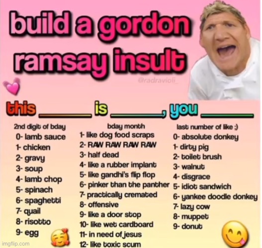 Gordon Ramsey insult | image tagged in gordon ramsey insult | made w/ Imgflip meme maker