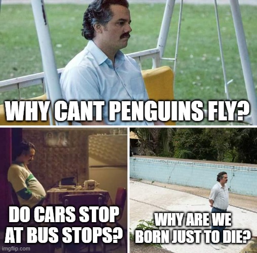 Sad Pablo Escobar Meme | WHY CANT PENGUINS FLY? DO CARS STOP AT BUS STOPS? WHY ARE WE BORN JUST TO DIE? | image tagged in memes,sad pablo escobar | made w/ Imgflip meme maker