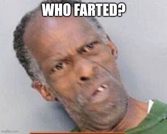 Who farted? | WHO FARTED? | image tagged in fart | made w/ Imgflip meme maker