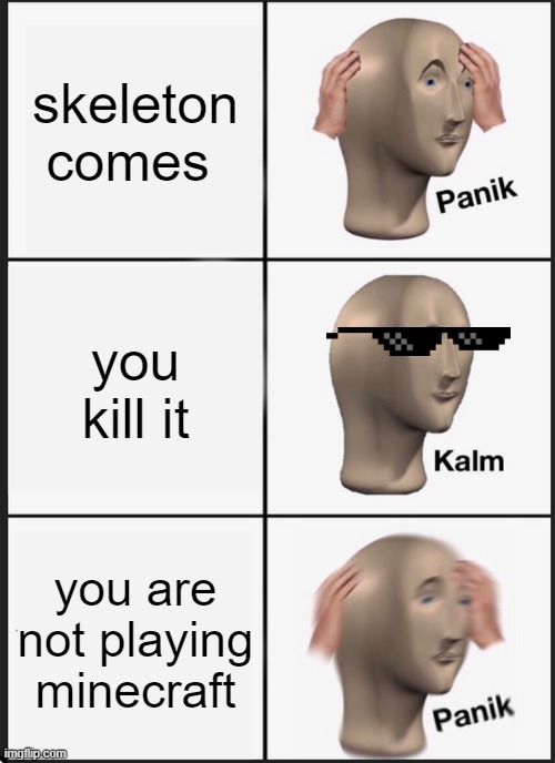 Panik Kalm Panik Meme | skeleton comes; you kill it; you are not playing minecraft | image tagged in memes,panik kalm panik | made w/ Imgflip meme maker