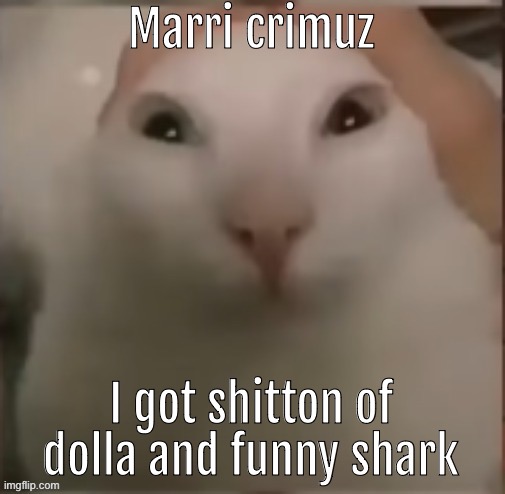 FREE SHIT LESSGO | Marri crimuz; I got shitton of dolla and funny shark | image tagged in goly gee wilikers | made w/ Imgflip meme maker