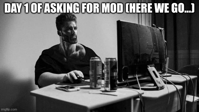 lets see how many days it takes | DAY 1 OF ASKING FOR MOD (HERE WE GO...) | image tagged in gigachad on the computer | made w/ Imgflip meme maker
