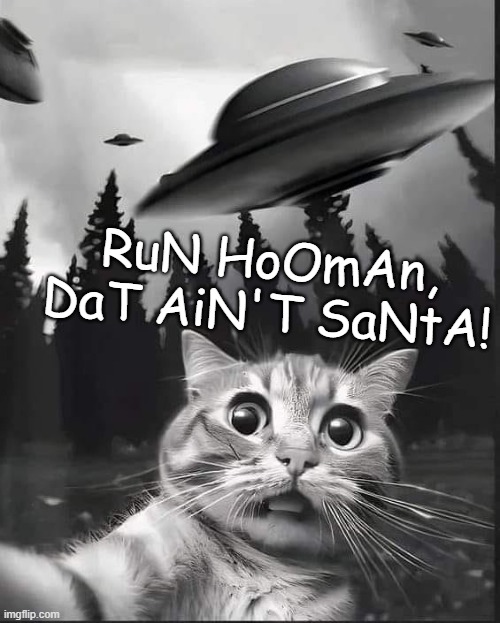 Run Hooman! | RuN HoOmAn, DaT AiN'T SaNtA! | image tagged in ufo,flying saucer,aliens,santa claus,father christmas,father xmas | made w/ Imgflip meme maker