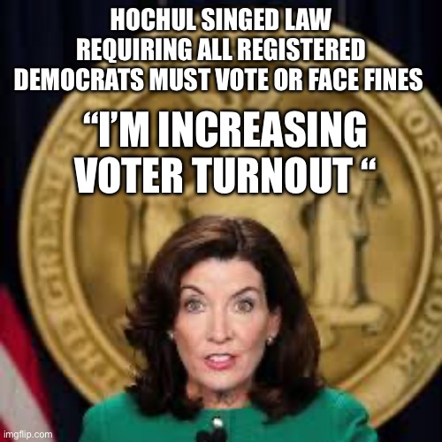 Brown shirt democrats | HOCHUL SINGED LAW REQUIRING ALL REGISTERED DEMOCRATS MUST VOTE OR FACE FINES; “I’M INCREASING VOTER TURNOUT “ | image tagged in fee for not voting,memes,funny,gifs | made w/ Imgflip meme maker