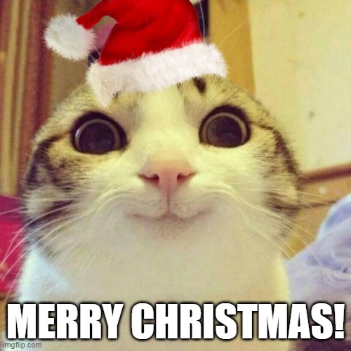 Merry Christmas, y'all! | MERRY CHRISTMAS! | image tagged in memes,smiling cat,funny,merry christmas | made w/ Imgflip meme maker