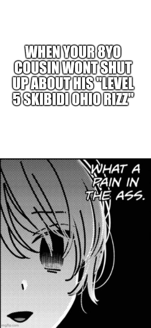 WHEN YOUR 8YO COUSIN WONT SHUT UP ABOUT HIS "LEVEL 5 SKIBIDI OHIO RIZZ" | image tagged in pain in the ass | made w/ Imgflip meme maker