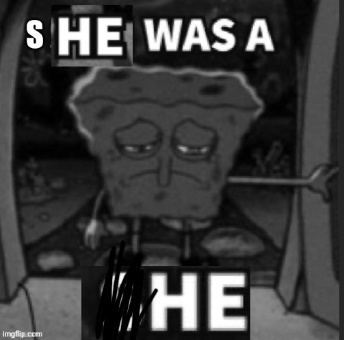 He was a She | S | image tagged in he was a she | made w/ Imgflip meme maker