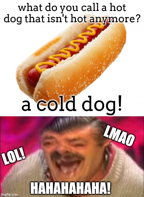 what do you call a hot dog that isn't hot anymore? a cold dog! LMAO; LOL! HAHAHAHAHA! | image tagged in hot dog,spanish dude laughing | made w/ Imgflip meme maker