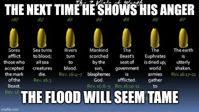 The seven vials of the wrath of God | THE NEXT TIME HE SHOWS HIS ANGER THE FLOOD WILL SEEM TAME | image tagged in the seven vials of the wrath of god | made w/ Imgflip meme maker