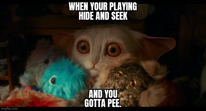 Pee | image tagged in hide and seek,meep,drwho | made w/ Imgflip meme maker