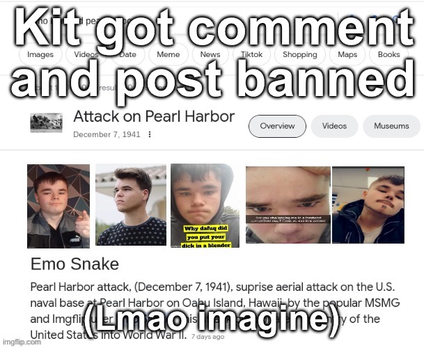 . | Kit got comment and post banned; (Lmao imagine) | image tagged in emo snake bombed pearl harbor real | made w/ Imgflip meme maker