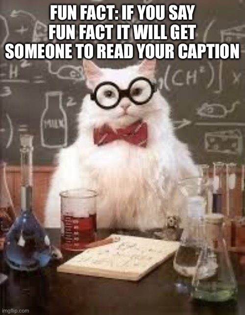 Fun fact! | FUN FACT: IF YOU SAY FUN FACT IT WILL GET SOMEONE TO READ YOUR CAPTION | image tagged in smart cat,fresh memes,funny,memes | made w/ Imgflip meme maker