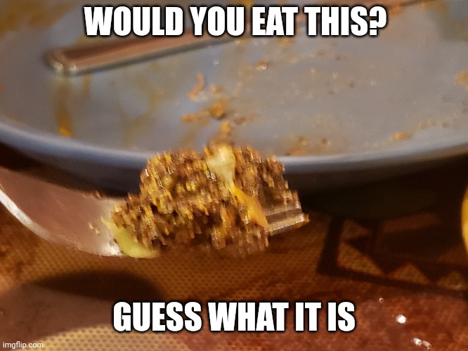Lol | WOULD YOU EAT THIS? GUESS WHAT IT IS | made w/ Imgflip meme maker