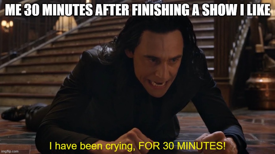 I've been falling for 30 minutes | ME 30 MINUTES AFTER FINISHING A SHOW I LIKE; I have been crying, FOR 30 MINUTES! | image tagged in i've been falling for 30 minutes | made w/ Imgflip meme maker
