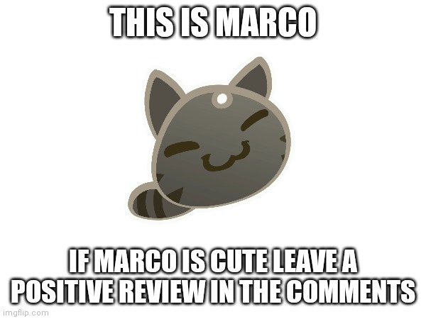 Just ranching some slimes | THIS IS MARCO; IF MARCO IS CUTE LEAVE A POSITIVE REVIEW IN THE COMMENTS | image tagged in memes,slime,slime rancher | made w/ Imgflip meme maker