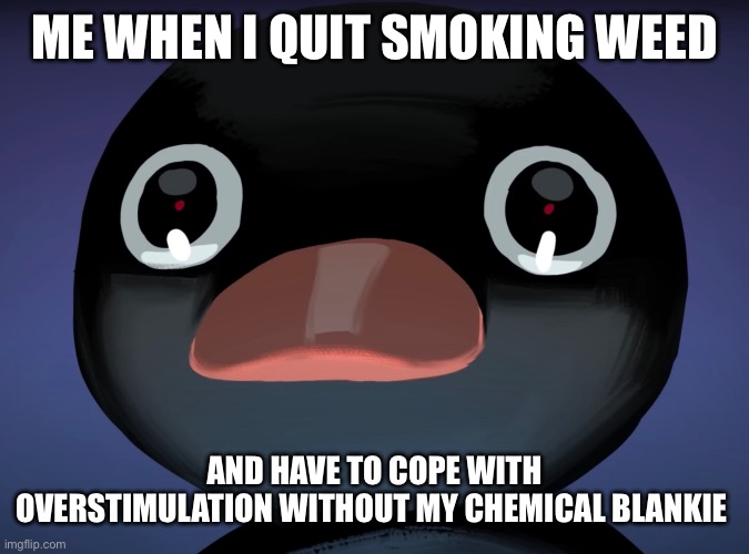 Pingu stare | ME WHEN I QUIT SMOKING WEED; AND HAVE TO COPE WITH OVERSTIMULATION WITHOUT MY CHEMICAL BLANKIE | image tagged in pingu stare | made w/ Imgflip meme maker