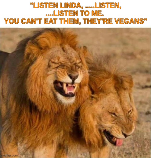 Listen Linda, listen.... | "LISTEN LINDA, .....LISTEN, ....LISTEN TO ME. 
YOU CAN'T EAT THEM, THEY'RE VEGANS" | image tagged in funny,meme,listen linda,vegan,lion,laughs | made w/ Imgflip meme maker