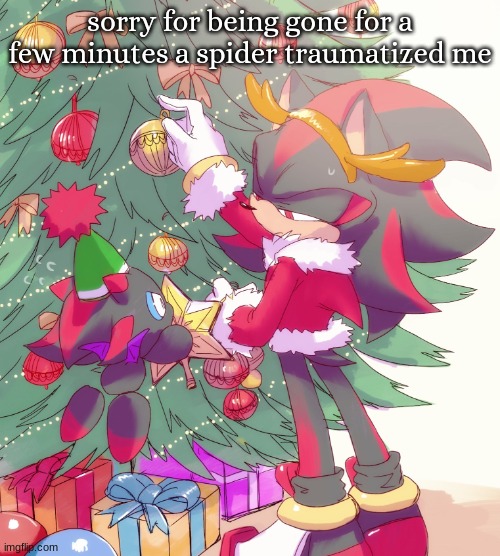 shadow and chao | sorry for being gone for a few minutes a spider traumatized me | image tagged in shadow and chao | made w/ Imgflip meme maker