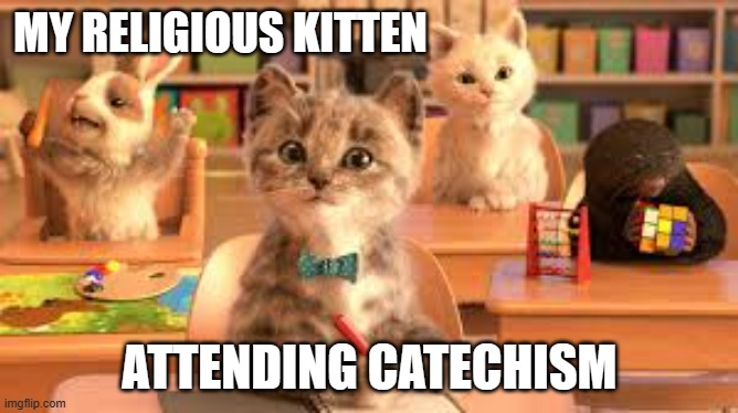 meme by Brad cat going to catechism class | MY RELIGIOUS KITTEN; ATTENDING CATECHISM | image tagged in cat meme | made w/ Imgflip meme maker