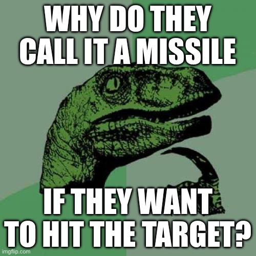 MISSile? | WHY DO THEY CALL IT A MISSILE; IF THEY WANT TO HIT THE TARGET? | image tagged in memes,philosoraptor,missile,target | made w/ Imgflip meme maker