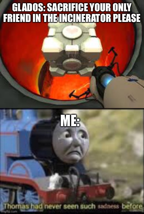 The sadness of the Companion Cube | GLADOS: SACRIFICE YOUR ONLY FRIEND IN THE INCINERATOR PLEASE; ME: | image tagged in portal,video games,sad | made w/ Imgflip meme maker