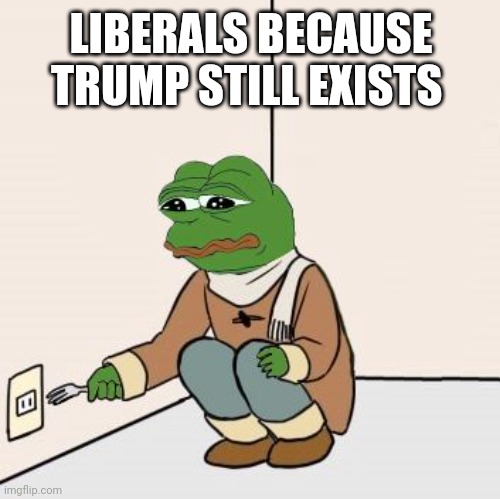 Cuts down on overpopulation | LIBERALS BECAUSE TRUMP STILL EXISTS | image tagged in pepe the frog fork,snowflakes,melting,liberal tears,stupid liberals,biden voters | made w/ Imgflip meme maker