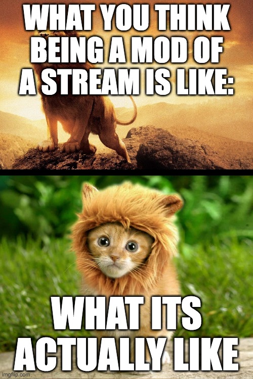 Lion expectations vs reality | WHAT YOU THINK BEING A MOD OF A STREAM IS LIKE:; WHAT ITS ACTUALLY LIKE | image tagged in lion expectations vs reality | made w/ Imgflip meme maker