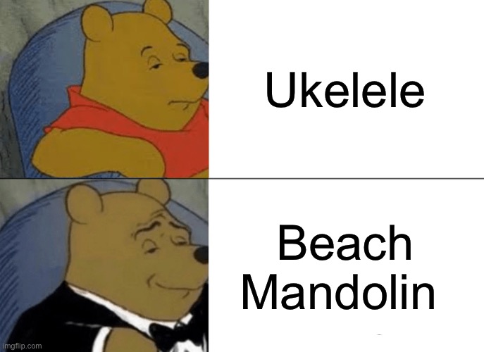 Tuxedo Winnie The Pooh | Ukelele; Beach Mandolin | image tagged in memes,tuxedo winnie the pooh | made w/ Imgflip meme maker