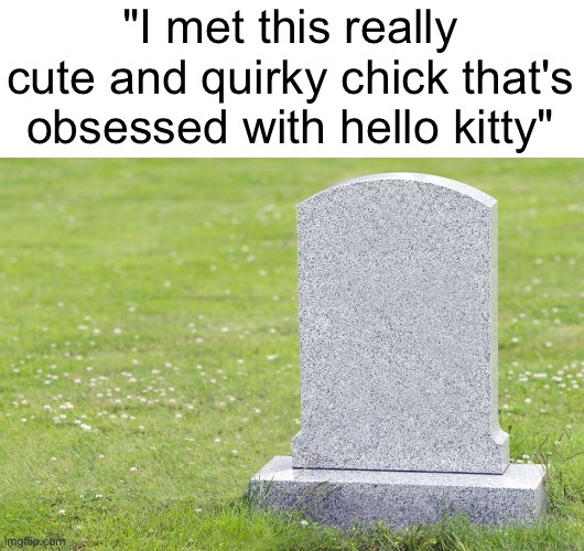 "I met this really cute and quirky chick that's obsessed with hello kitty" | image tagged in shitpost,memes | made w/ Imgflip meme maker