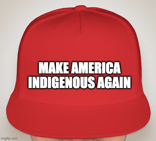 MAke America GREAT | MAKE AMERICA
INDIGENOUS AGAIN | image tagged in trump hat | made w/ Imgflip meme maker