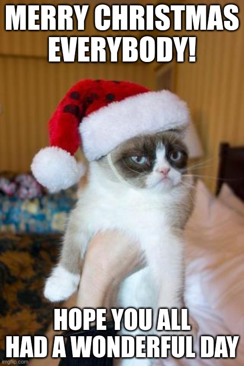 Upvote if you like christmas | MERRY CHRISTMAS EVERYBODY! HOPE YOU ALL HAD A WONDERFUL DAY | image tagged in memes,grumpy cat christmas,grumpy cat | made w/ Imgflip meme maker