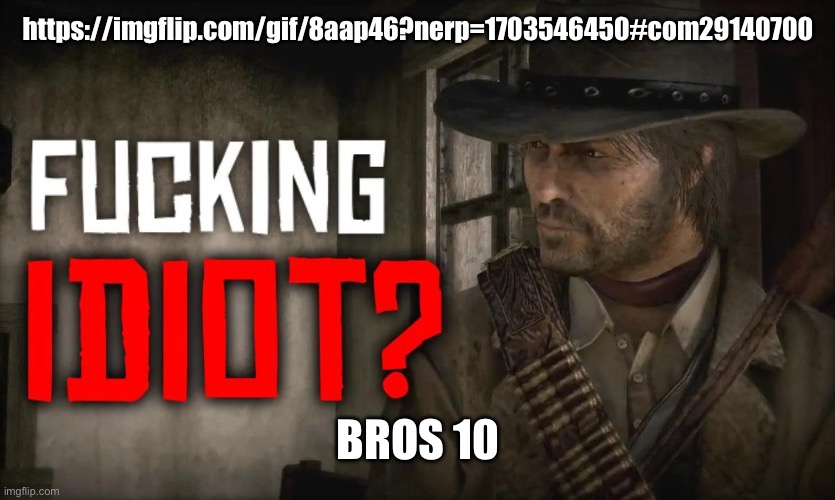 https://imgflip.com/gif/8aap46?nerp=1703546450#com29140700; BROS 10 | image tagged in fucking idiot | made w/ Imgflip meme maker