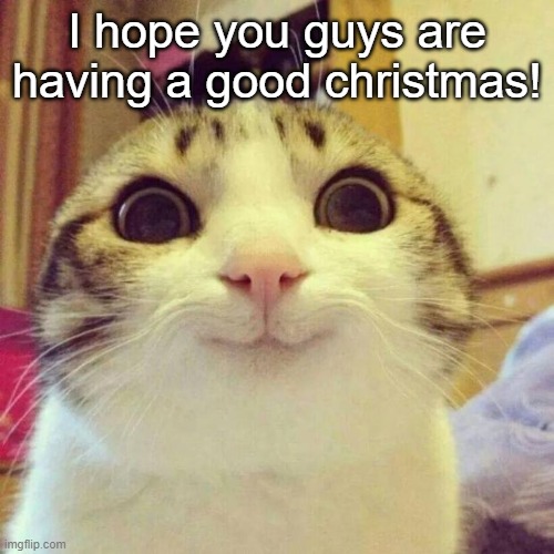 Hope your Christmas is going good! | I hope you guys are having a good christmas! | image tagged in memes,smiling cat,thank you,christmas | made w/ Imgflip meme maker