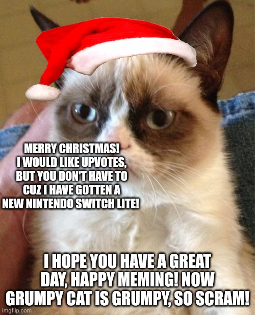 Grumpy cat christmas | MERRY CHRISTMAS! I WOULD LIKE UPVOTES, BUT YOU DON'T HAVE TO CUZ I HAVE GOTTEN A NEW NINTENDO SWITCH LITE! I HOPE YOU HAVE A GREAT DAY, HAPPY MEMING! NOW GRUMPY CAT IS GRUMPY, SO SCRAM! | image tagged in memes,grumpy cat | made w/ Imgflip meme maker