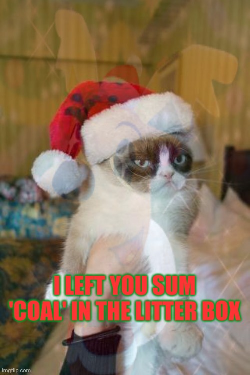 Merry Catsmas | I LEFT YOU SUM 'COAL' IN THE LITTER BOX | image tagged in no,this is not ok,cats,grumpy cat,merry christmas | made w/ Imgflip meme maker