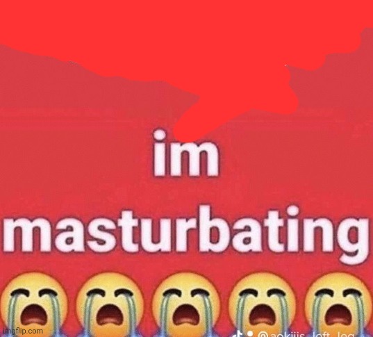 im masturbating | image tagged in im masturbating | made w/ Imgflip meme maker