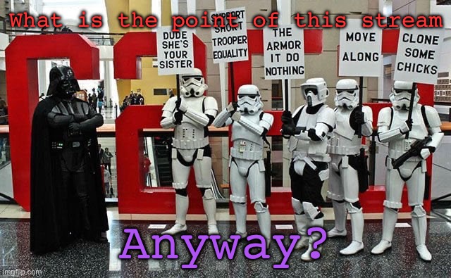 Stormtrooper protest | What is the point of this stream; Anyway? | image tagged in stormtrooper protest | made w/ Imgflip meme maker