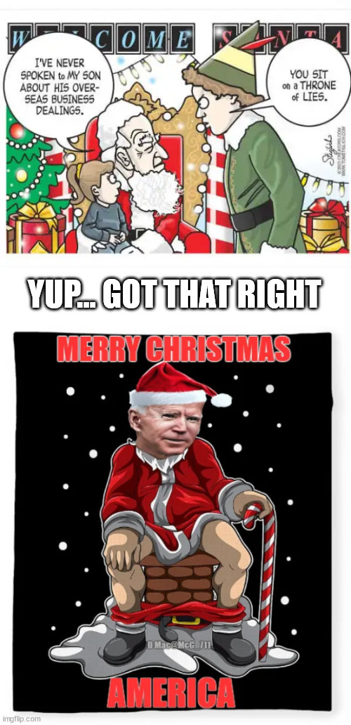 The elf is right. | YUP... GOT THAT RIGHT | image tagged in the elf is right,biden takes another dump on america | made w/ Imgflip meme maker