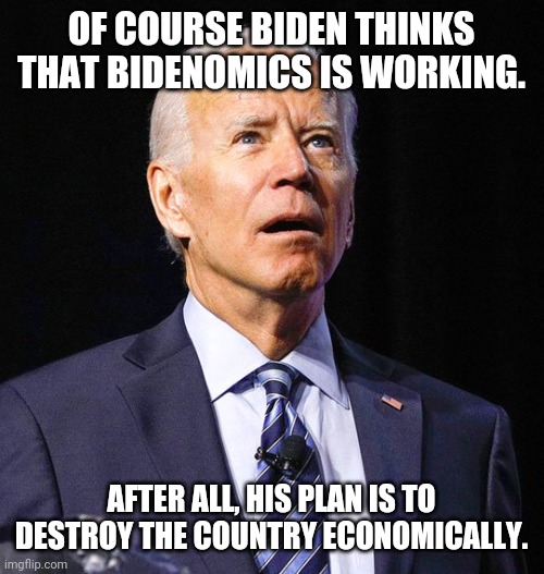 Joe Biden | OF COURSE BIDEN THINKS THAT BIDENOMICS IS WORKING. AFTER ALL, HIS PLAN IS TO DESTROY THE COUNTRY ECONOMICALLY. | image tagged in joe biden | made w/ Imgflip meme maker