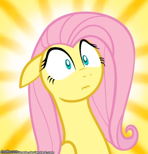 Shocked Fluttershy | image tagged in shocked fluttershy | made w/ Imgflip meme maker