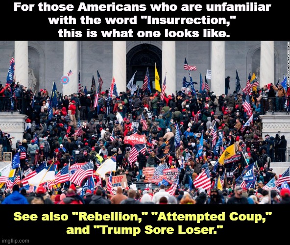 If you're not crystal clear about the word. | For those Americans who are unfamiliar 
with the word "Insurrection," 
this is what one looks like. See also "Rebellion," "Attempted Coup," 
and "Trump Sore Loser." | image tagged in 1/6 capitol riot insurrection rebellion attempted coup trump,capitol riot,insurrection,rebellion,attempted coup,trump sore loser | made w/ Imgflip meme maker