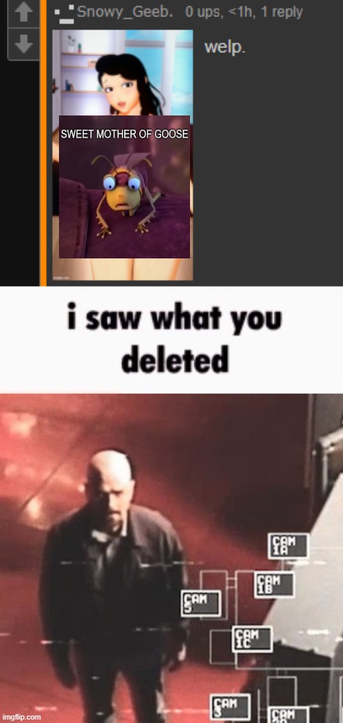 i saw what you deleted | image tagged in i saw what you deleted | made w/ Imgflip meme maker