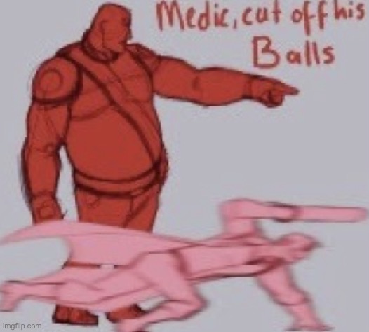 how long has it been since i made some annoying ass tf2 post | image tagged in medick | made w/ Imgflip meme maker