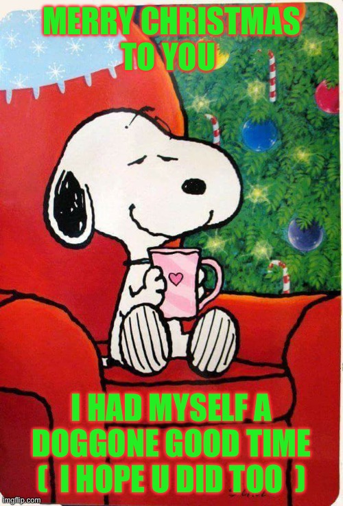 Merry Christmas | MERRY CHRISTMAS
TO YOU; I HAD MYSELF A DOGGONE GOOD TIME
(  I HOPE U DID TOO  ) | image tagged in snoopy christmas | made w/ Imgflip meme maker