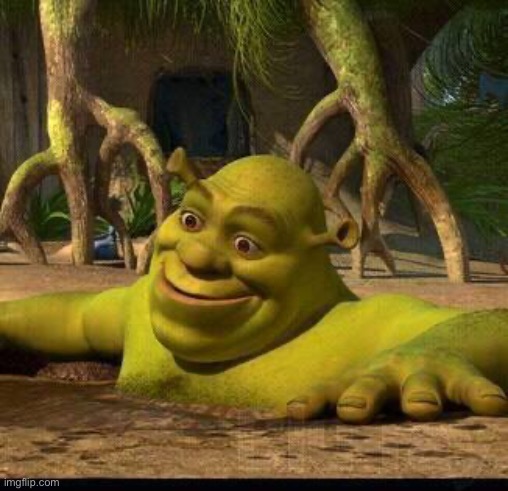 shreck | image tagged in shreck | made w/ Imgflip meme maker