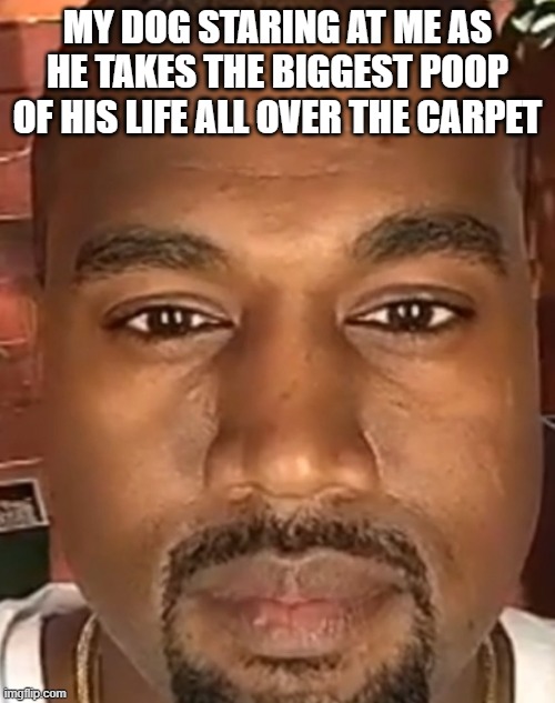 free Madeleine | MY DOG STARING AT ME AS HE TAKES THE BIGGEST POOP OF HIS LIFE ALL OVER THE CARPET | image tagged in kanye west stare | made w/ Imgflip meme maker