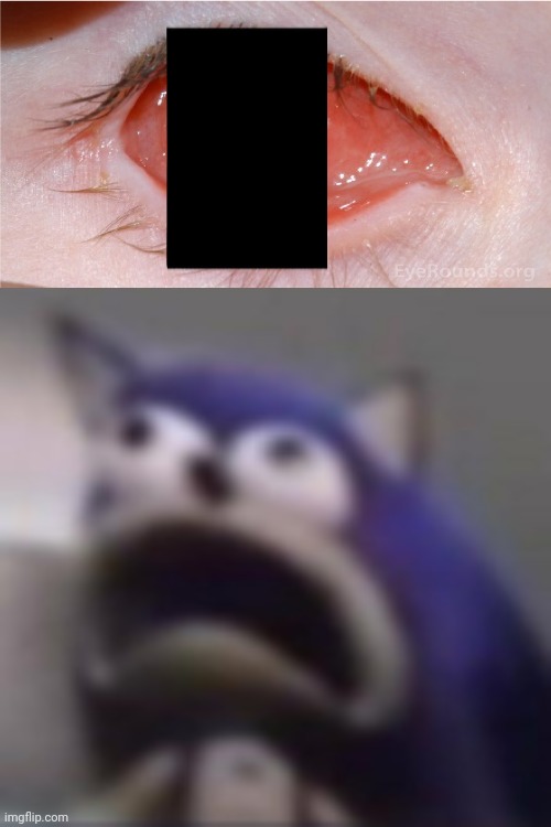 Oh god no (I'm censoring it because sheesh) | image tagged in distress,eyes,scream,help | made w/ Imgflip meme maker