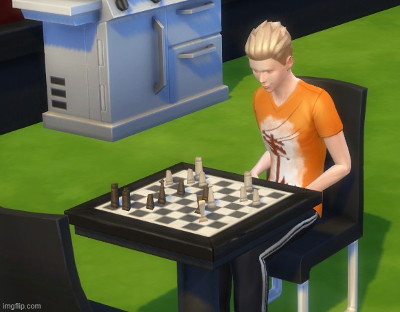 bro is playing chess with himself | image tagged in the sims,the sims 4,why are you reading the tags,you have been eternally cursed for reading the tags | made w/ Imgflip meme maker