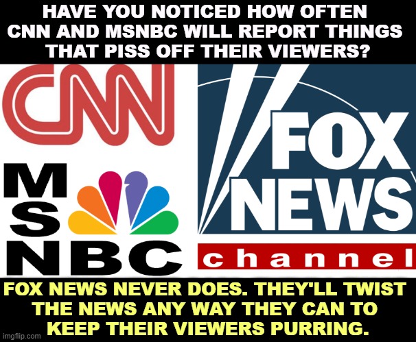 If Fox can't lie about a story, they'll ignore it completely and not mention it. | HAVE YOU NOTICED HOW OFTEN 
CNN AND MSNBC WILL REPORT THINGS 
THAT PISS OFF THEIR VIEWERS? FOX NEWS NEVER DOES. THEY'LL TWIST 
THE NEWS ANY WAY THEY CAN TO 
KEEP THEIR VIEWERS PURRING. | image tagged in cable news,msnbc,cnn,news,fox news,propaganda | made w/ Imgflip meme maker